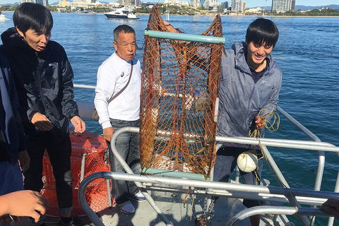 Crab Trip From Gold Coast - Accommodation Sydney 1
