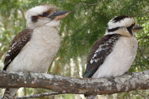 Stradbroke Island 4WD Day Trip From Brisbane - Accommodation Sydney 3