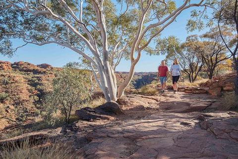 3-Day Tour From Uluru (Ayers Rock) To Alice Springs Via Kings Canyon - Accommodation Sydney 1