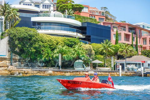 Sydney Speed Boat Adventure Harbour Tour - Accommodation Sydney 3