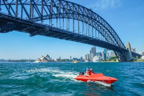 Sydney Speed Boat Adventure Harbour Tour - Accommodation Sydney 5