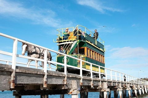6 Days Adelaide All-Inclusive Touring Package - Sydney 4u 2