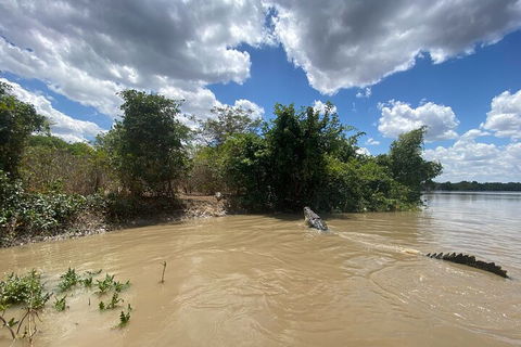 Top End Waterfalls And Wetlands - Sydney 4u 2