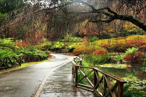 Discover Tour: Dandenong Ranges & William Ricketts Sanctuary - Sydney 4u 3
