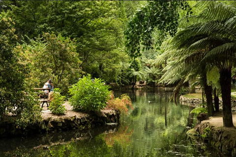 Discover Tour: Dandenong Ranges & William Ricketts Sanctuary - Sydney 4u 4
