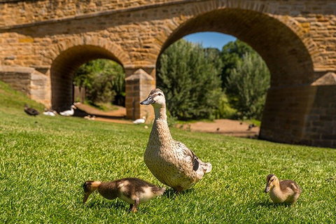 Richmond Historic Afternoon Tour From Hobart - Sydney Resort 1