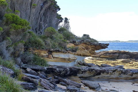 Day Trip To Cronulla & The Royal National Park - Sydney 4u 4