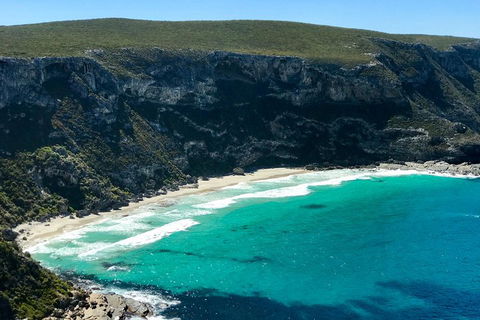 Kangaroo Island Scenic Trail Tour - Accommodation Sydney 4
