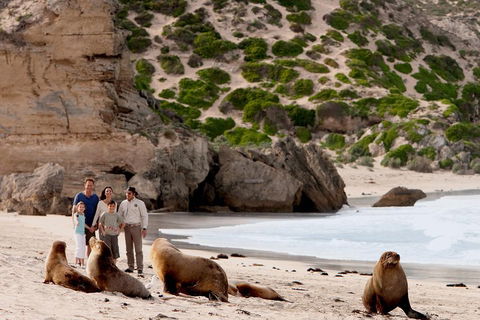 Kangaroo Island Scenic Trail Tour - Accommodation Sydney 5