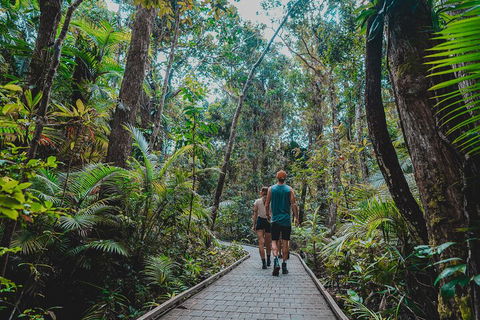 Full Day Cooktown Private Tour - Accommodation Sydney 0
