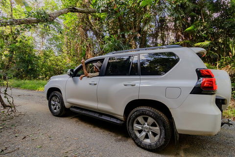 Full Day Cooktown Private Tour - Accommodation Sydney 3