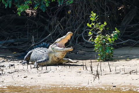 Full Day Cooktown Private Tour - Accommodation Sydney 4