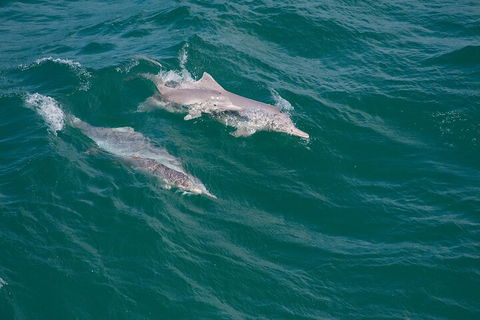 North Stradbroke Island Private Tour With Pickup - Sydney 4u 0