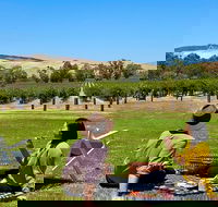 Private Picnic and Wine Tasting Experience in Barossa Valley - Sydney 4u