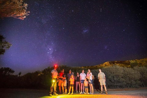Alice Springs Desert Park Nocturnal Tour - Sydney 4u 2