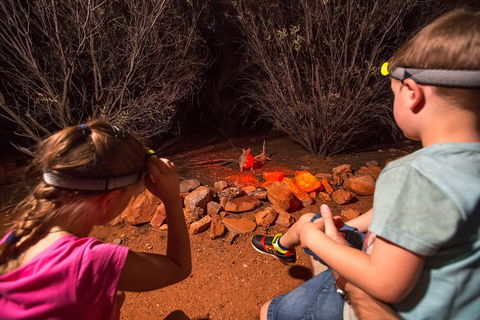 Alice Springs Desert Park Nocturnal Tour - Sydney 4u 4