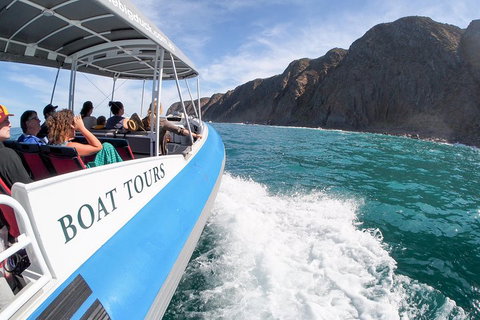 Southern Ocean Adventure From Victor Harbor - Accommodation Sydney 0