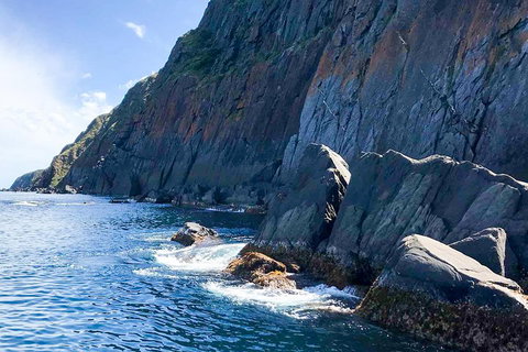 Southern Ocean Adventure From Victor Harbor - Accommodation Sydney 3