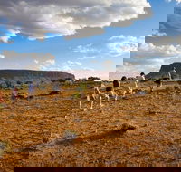 Mount Conner 4WD Small Group Tour from Ayers Rock including Dinner - Sydney 4u