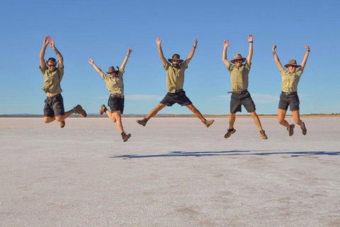 Mount Conner 4WD Small Group Tour From Ayers Rock Including Dinner - Sydney 4u 2