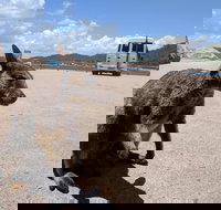 Magnetic Island Tour Maggie Comprehensive - Accommodation Sydney