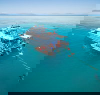 Ocean Freedom Great Barrier Reef Personal Luxury Snorkel  Dive Cruise Cairns - Sydney 4u