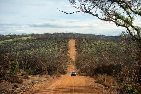 NEW TOUR - Kangaroo Island Road To Recovery Tour (1 Day/1 Night) - Sydney 4u 2