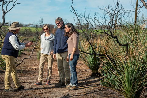 NEW TOUR - Kangaroo Island Road To Recovery Tour (1 Day/1 Night) - Sydney 4u 4