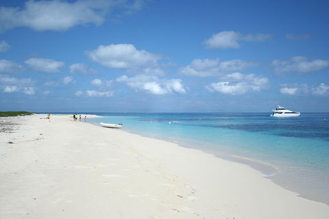 Seastar Luxury Outer Great Barrier Reef Island And Reef Tour From Cairns - Sydney 4u 3