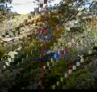 Hollybank Wilderness Adventure - Zipline Tours - Sydney Resort