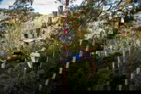 Hollybank Wilderness Adventure - Zipline Tours, Launceston