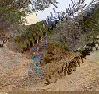 Mount Lofty Descent Bike Tour from Adelaide - Sydney 4u