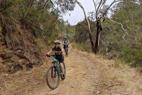 Mount Lofty Descent Bike Tour From Adelaide - Sydney 4u 0