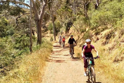 Mount Lofty Descent Bike Tour From Adelaide - Sydney 4u 3