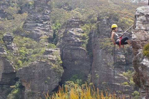 Half-Day Abseiling Adventure In Blue Mountains National Park - Sydney 4u 4