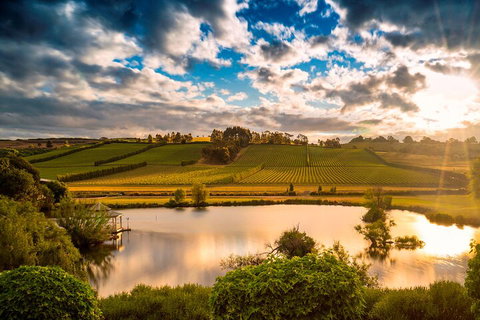 Josef Chromy Wines Winery Tour Including Tasting And Lunch - Sydney Resort 3