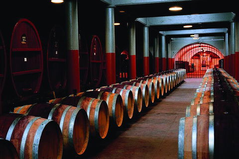 Penfolds Magill Estate Iconic Experience - Accommodation Sydney 4