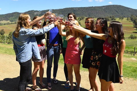 Hunter Valley Wine Tour From Sydney Incl Lunch, Cheese, Chocolate And Distillery - Sydney 4u 3