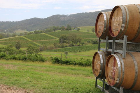 Hunter Valley Wine Tour From Sydney Incl Lunch, Cheese, Chocolate And Distillery - Sydney 4u 5
