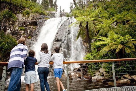Lake Mountain Snow Trip Including Yarra Valley Chocolaterie From Melbourne - Sydney 4u 0