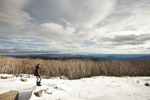 Lake Mountain Snow Trip Including Yarra Valley Chocolaterie From Melbourne - Sydney 4u 5