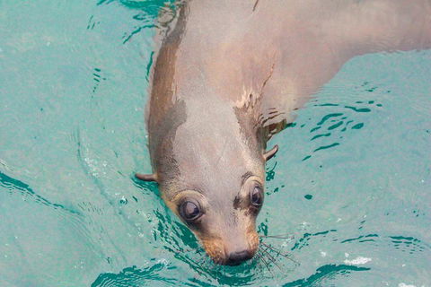 Wilsons Promontory Full Day Cruise - Sydney 4u 0