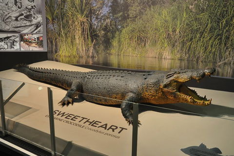 Explore Darwin City Sights Including Key Attractions - Sydney 4u 2