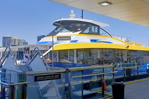 Brisbane City Essentials Walking Tour - Accommodation Sydney 3