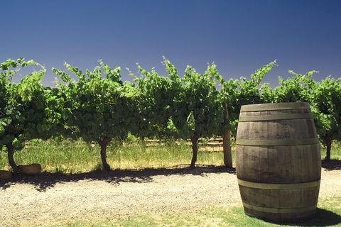 Swan Valley Private Tour - Accommodation Sydney 4