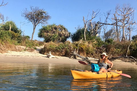 1-Hour Single Or Double Kayak Hire On Golden Beach, Caloundra - Sydney 4u 4