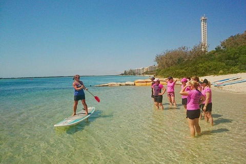 Golden Beach 1-Hour Stand-Up Paddleboard Hire On The Sunshine Coast - Sydney 4u 1