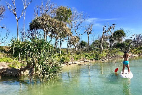 Golden Beach 1-Hour Stand-Up Paddleboard Hire On The Sunshine Coast - Sydney 4u 5