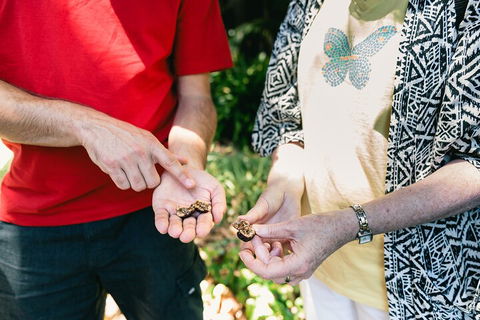 Perth Arcades And Laneways Walking Tour - Accommodation Sydney 0