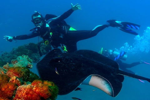 Scuba Dive The S.S. Yongala Wreck On The Great Barrier Reef. - Sydney 4u 0